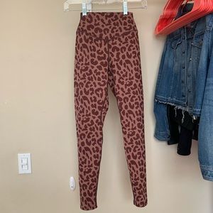 The ascend pants (king cheetah dusk)